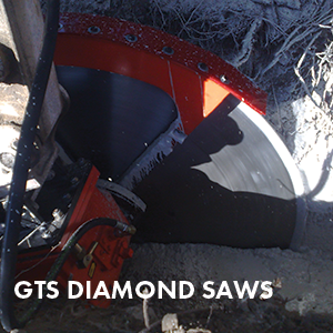GTS saws 300x300px